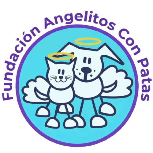 Angelitos con Patas